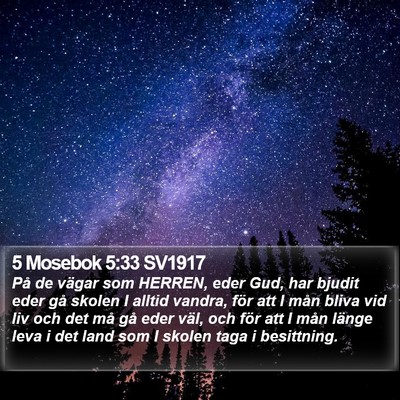 5 Mosebok 5:33 SV1917 Bible Verse Image