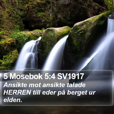 5 Mosebok 5:4 SV1917 Bible Verse Image