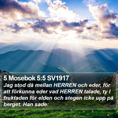 5 Mosebok 5:5 SV1917 Bible Verse Image
