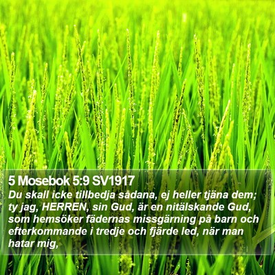 5 Mosebok 5:9 SV1917 Bible Verse Image