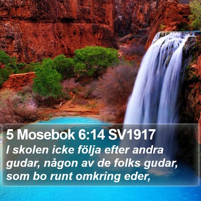 5 Mosebok 6:14 SV1917 Bible Verse Image