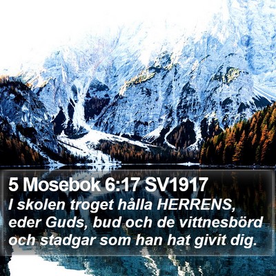 5 Mosebok 6:17 SV1917 Bible Verse Image