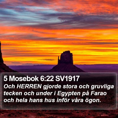 5 Mosebok 6:22 SV1917 Bible Verse Image