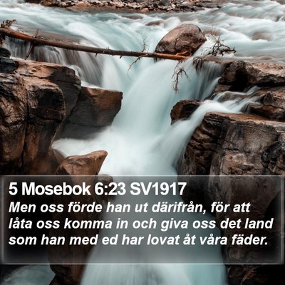 5 Mosebok 6:23 SV1917 Bible Verse Image