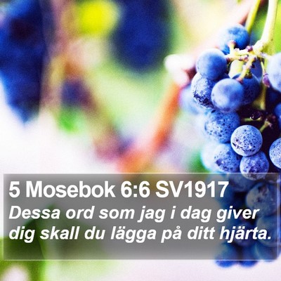 5 Mosebok 6:6 SV1917 Bible Verse Image