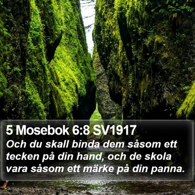 5 Mosebok 6:8 SV1917 Bible Verse Image