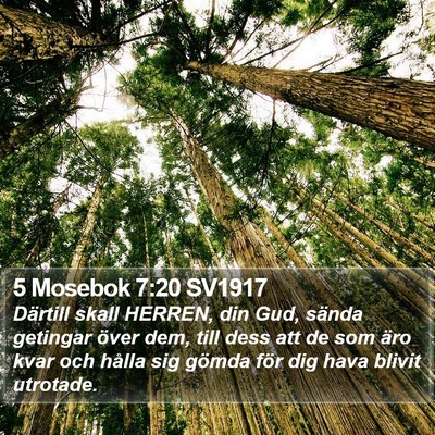 5 Mosebok 7:20 SV1917 Bible Verse Image