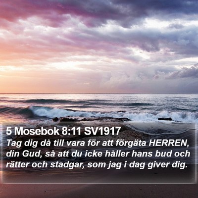 5 Mosebok 8:11 SV1917 Bible Verse Image