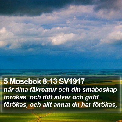 5 Mosebok 8:13 SV1917 Bible Verse Image