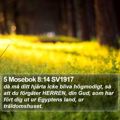 5 Mosebok 8:14 SV1917 Bible Verse Image