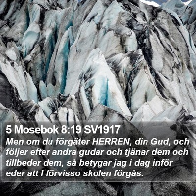 5 Mosebok 8:19 SV1917 Bible Verse Image