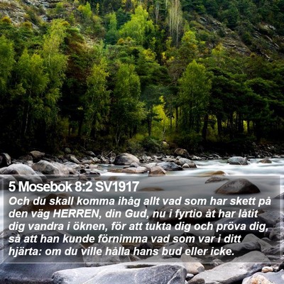 5 Mosebok 8:2 SV1917 Bible Verse Image