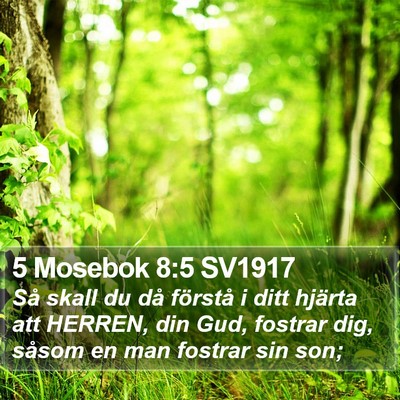 5 Mosebok 8:5 SV1917 Bible Verse Image