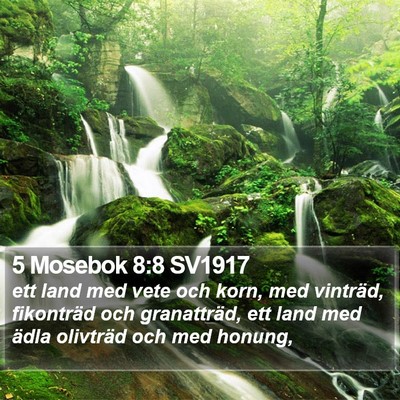 5 Mosebok 8:8 SV1917 Bible Verse Image