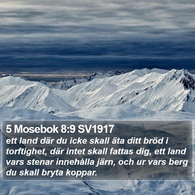 5 Mosebok 8:9 SV1917 Bible Verse Image