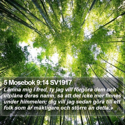 5 Mosebok 9:14 SV1917 Bible Verse Image