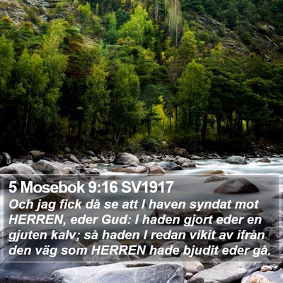 5 Mosebok 9:16 SV1917 Bible Verse Image