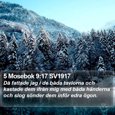 5 Mosebok 9:17 SV1917 Bible Verse Image