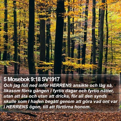 5 Mosebok 9:18 SV1917 Bible Verse Image