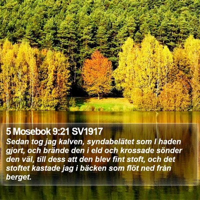 5 Mosebok 9:21 SV1917 Bible Verse Image