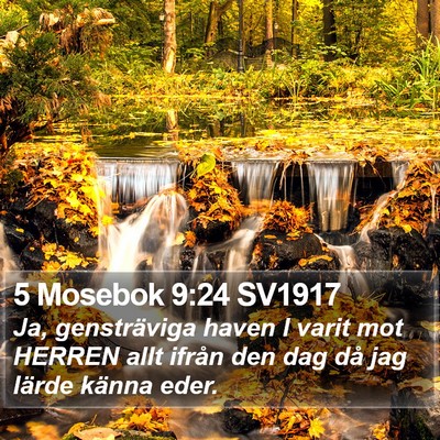 5 Mosebok 9:24 SV1917 Bible Verse Image