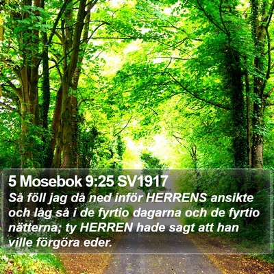 5 Mosebok 9:25 SV1917 Bible Verse Image