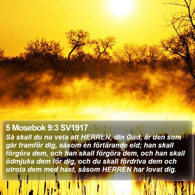 5 Mosebok 9:3 SV1917 Bible Verse Image