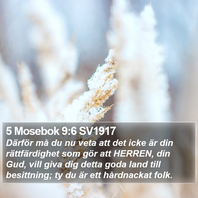 5 Mosebok 9:6 SV1917 Bible Verse Image