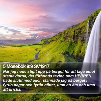 5 Mosebok 9:9 SV1917 Bible Verse Image