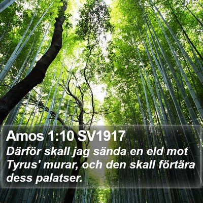 Amos 1:10 SV1917 Bible Verse Image