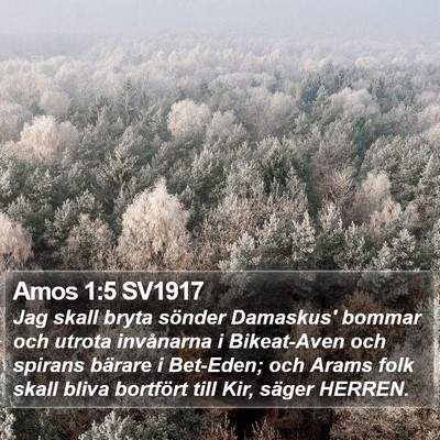 Amos 1:5 SV1917 Bible Verse Image