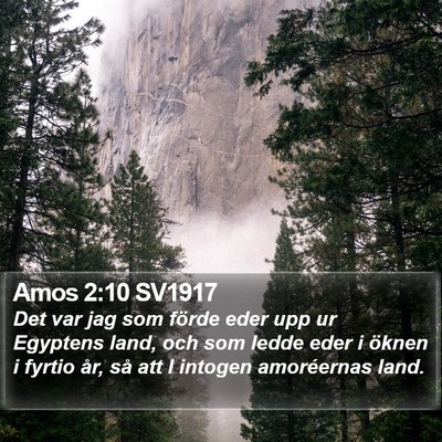 Amos 2:10 SV1917 Bible Verse Image