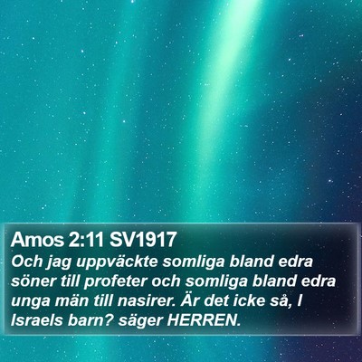 Amos 2:11 SV1917 Bible Verse Image