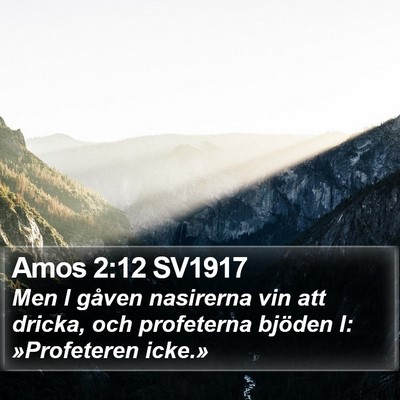 Amos 2:12 SV1917 Bible Verse Image