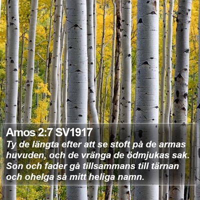 Amos 2:7 SV1917 Bible Verse Image