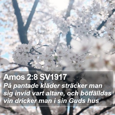 Amos 2:8 SV1917 Bible Verse Image