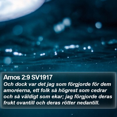 Amos 2:9 SV1917 Bible Verse Image