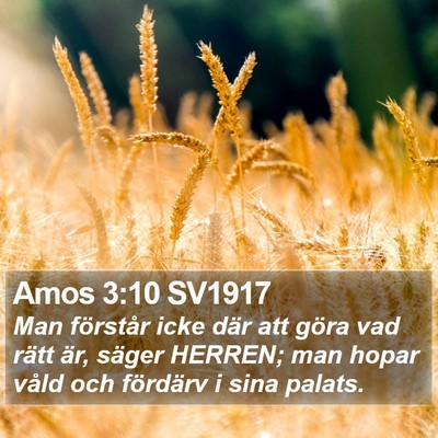 Amos 3:10 SV1917 Bible Verse Image