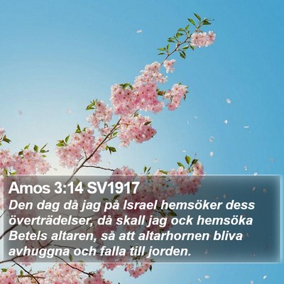 Amos 3:14 SV1917 Bible Verse Image