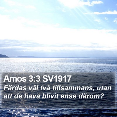 Amos 3:3 SV1917 Bible Verse Image