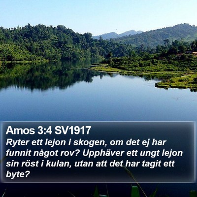 Amos 3:4 SV1917 Bible Verse Image