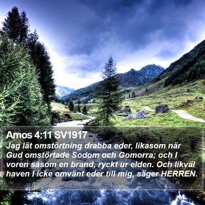 Amos 4:11 SV1917 Bible Verse Image