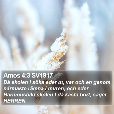 Amos 4:3 SV1917 Bible Verse Image