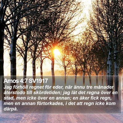 Amos 4:7 SV1917 Bible Verse Image