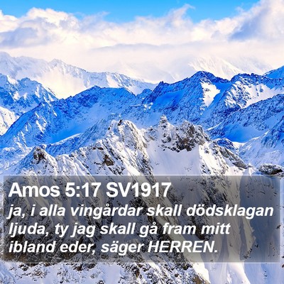 Amos 5:17 SV1917 Bible Verse Image