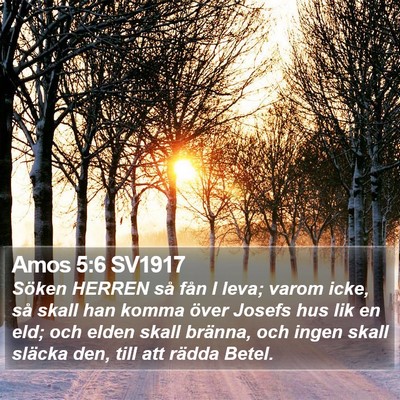 Amos 5:6 SV1917 Bible Verse Image