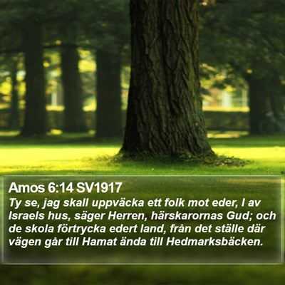 Amos 6:14 SV1917 Bible Verse Image