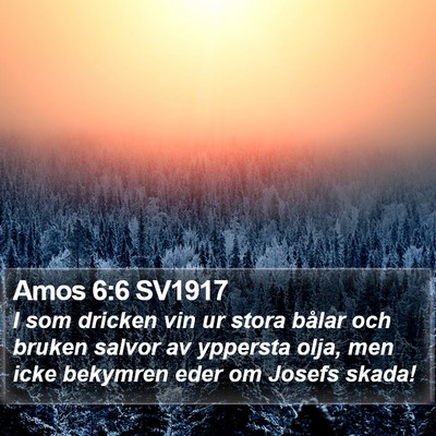 Amos 6:6 SV1917 Bible Verse Image