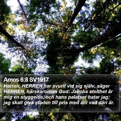 Amos 6:8 SV1917 Bible Verse Image
