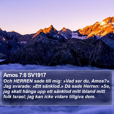 Amos 7:8 SV1917 Bible Verse Image